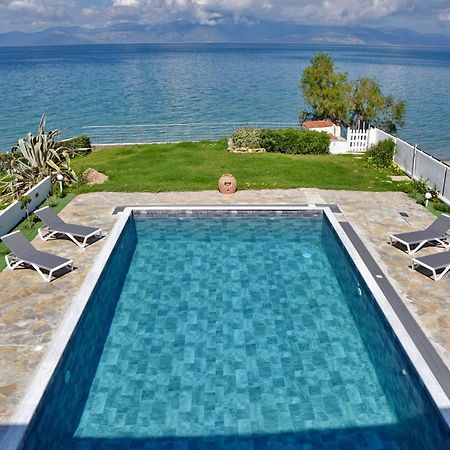 Antorina Beachfront Villas With Private Pools Kamari  Exteriör bild
